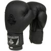 DBX Bushido Boxerské rukavice B-2v12 - 6oz.