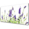 Obraz na akrylátovom skle Kvety 100x50 cm