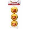 Wilson Starter Foam 3B