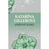 Aprílové slnko - Katarína Gillerová