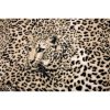 Fototapeta na stenu - FT0165 - Leopard 312cm x 219cm - Vliesová fototapeta