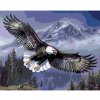 Diamondi Diamantové maľovanie LETIACI OROL 40 x 50 cm bez rámu a bez vypnutia plátna