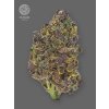 The Bulldog Seeds TB Purple CBD Auto, 3 a 5 ks 3 pcs