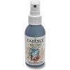 Farba na textil CADENCE YOUR FASHION SHINE 100 ML šedá