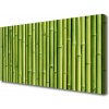 Obraz Canvas Bambus rastlina príroda 100x50 cm
