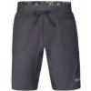 Direct Alpine Solo Shorts 3.0 Men Sivá L