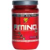 Amino X - BSN 1010 g Fruit Punch