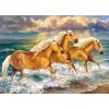 Cherry Pazzi Puzzle Kone ve vode - 1000 dielov
