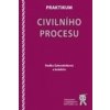 Praktikum civilního procesu - Radka Zahradníková a kolektiv