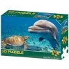 Puzzle 3D - Delfín a korytnačka