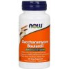 NOW Saccharomyces Boulardii 5 miliard CFU x 60 rostlinných kapsúl