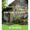 E-kniha Stretneme sa v pekle! - Mariana Michalská