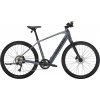Trekingové elektrobicykel Trek Dual Sport+ 2 LT - Galactic Grey L