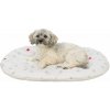 Xmas cushion NIVIA
