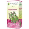 MEGAFYT Bylinková lekáreň MATERINA DÚŠKA bylinný čaj 20x1,5 g (30 g)