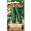 MoravoSeed Semínka Tykev cuketa zelená NEFERTITI, 12 s