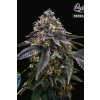 T.H. Seeds French Macaron neobsahuje THC nan