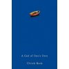 God of One's Own - Religion's Capacity for Peace and Potential for Violence (Ulrich Beck)()