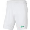 Pánske šortky Park III M BV6855 102 - Nike S