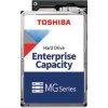 Toshiba MG10F 22TB, MG10AFA22TE