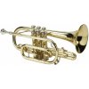 Soundsation SCOR-10E