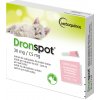 Ihneď k odberu - Dronspot spot-on Cat 30 / 7,5 mg 2 x 0,35 ml