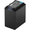Newell NP-FV100A