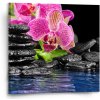 Sablio Obraz Orchidea na kameňoch - 50x50 cm