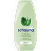 Schauma 7 Bylín šampón na normálne a mastné vlasy 250 ml