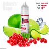 Adams Vape Shake & Vape Lime Currant 10 ml