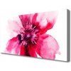 Obraz na plátne Kvet 100x50 cm