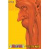 Bleach (3-in-1 Edition), Vol. 20 (Tite Kubo)(Brožovaná)