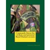 Commando fitness for civilians and potential Royal Marines recruits