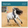 Horses nástěnný autor neuvedený 2027