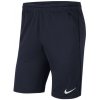 Trenky Nike Dri-FIT Park 20 M CW6152-451