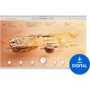Arturia Augmented Series 8 (Digitálny produkt)