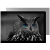 Natec OWL 13.3'' 16:9