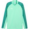 Puma | teamLIGA26 Training 1/4 Zip Top | zelená| M