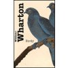 Birdy - William Wharton
