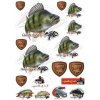 Mix nálepek Giants Fishing Okoun ( 17ks )