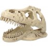 Repti Planet T-Rex lebka 13,8 cm