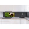 DIMEX | Dibond doska za kuchynskú linku | DBW-08040-038 Futbalová lopta| 80 x 40 cm + Dibond obkladová doska Dimex do kuchyne Futbalová loptav rozmere 80 x 40 cm