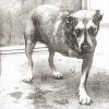 Alice In Chains: Alice In Chains - CD