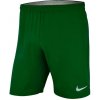 Pánske kraťasy Laser Woven IV Short M AJ1245-302 - Nike M