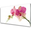 Obraz na skle Kvety rastlina 100x50 cm