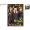 Mikro trading Puzzle - Harry Potter: Harry a přátelé - 250 dílků