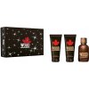 Dsquared2 Wood pour Homme Darčeková sada pánska EDT 100 ml, sprchový gél 100 ml a After Shave Balsam (balzam po holení) 100 ml