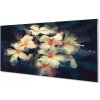 Obraz plexi Obraz kvetín 100x50 cm