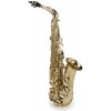 SOUNDSATION SALSX-20