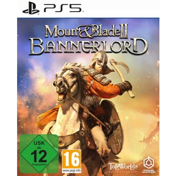 Mount and Blade 2 Bannerlord